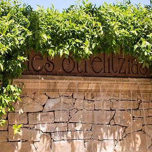 The Originals Residence, Les Strelitzias